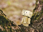 Amazon Day Delivery: A specific day to Receive Your Orders Get paid on Logie